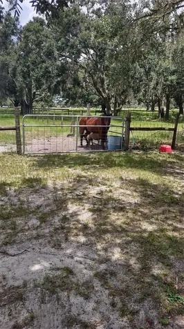 30500 34th Avenue E Myakka City FL 34251