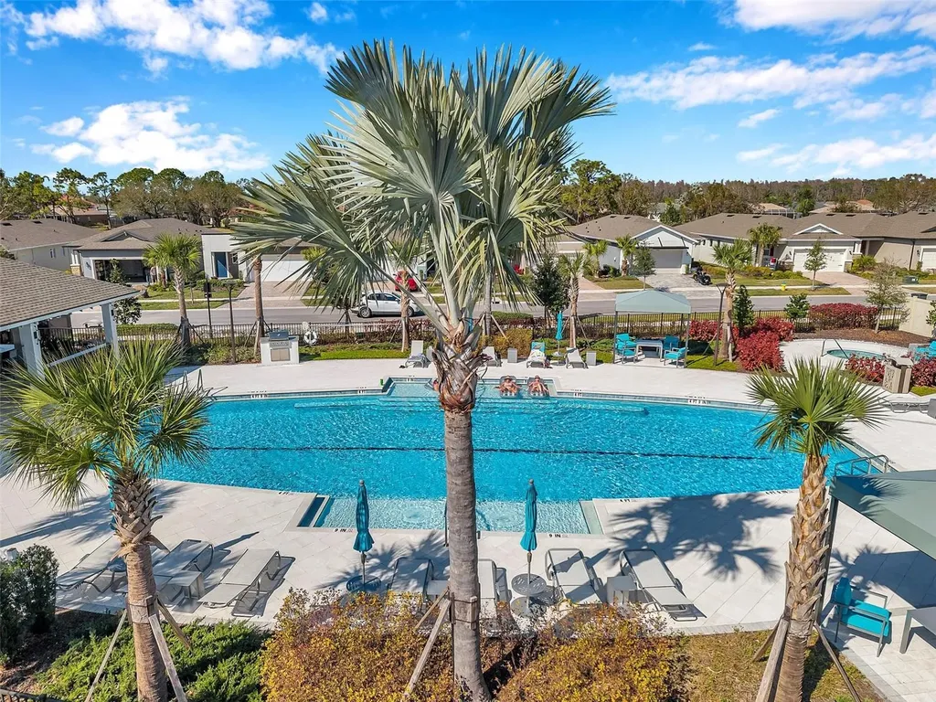 3747 Laughing Dove Avenue Sun City Center FL 33573