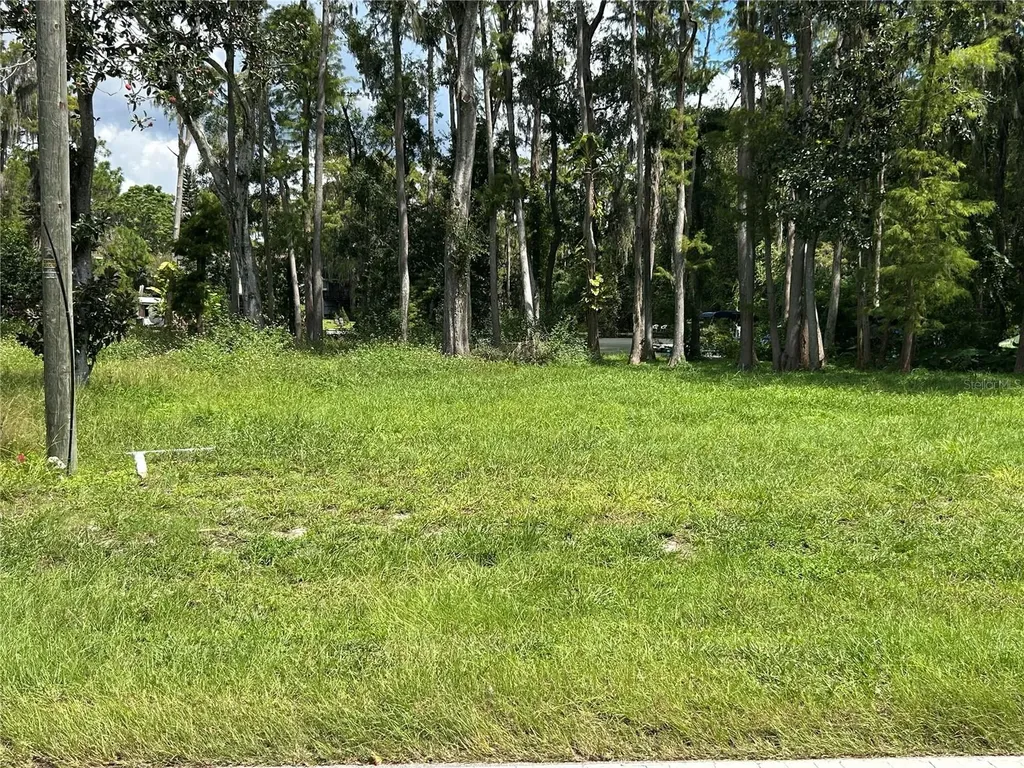 12629 Lacey Drive New Port Richey FL 34654