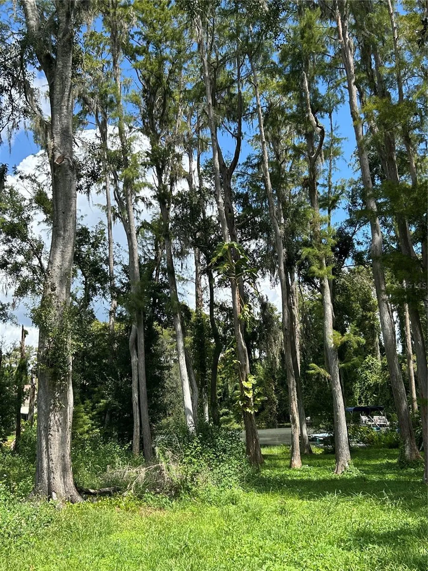 12629 Lacey Drive New Port Richey FL 34654