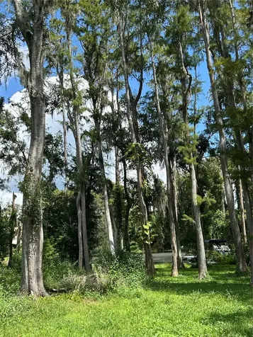 12629 Lacey Drive New Port Richey FL 34654