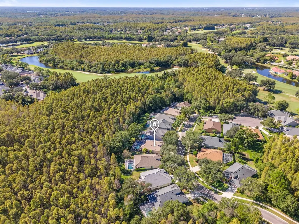 5542 Avenue Du Soleil Lutz FL 33558