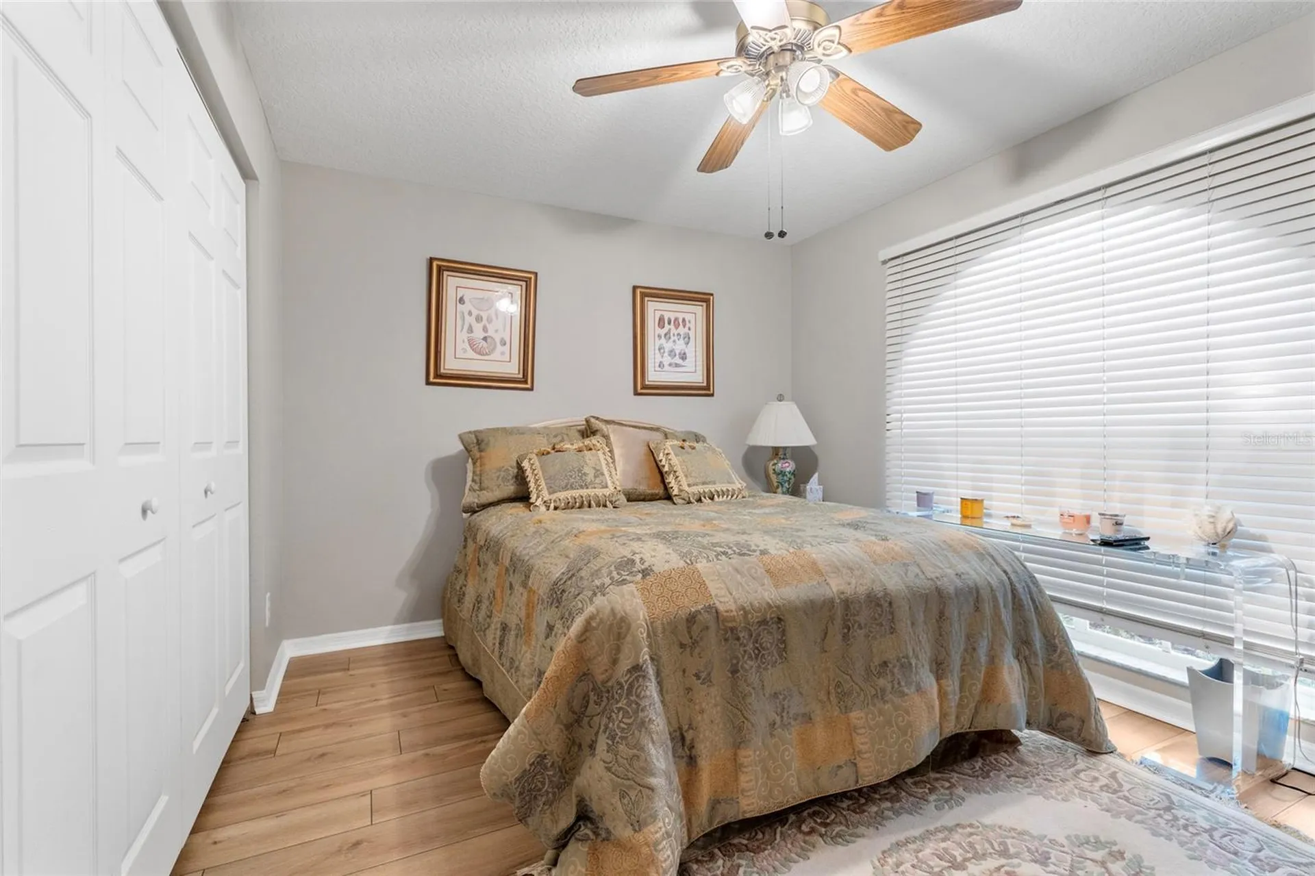 5542 Avenue Du Soleil Lutz FL 33558