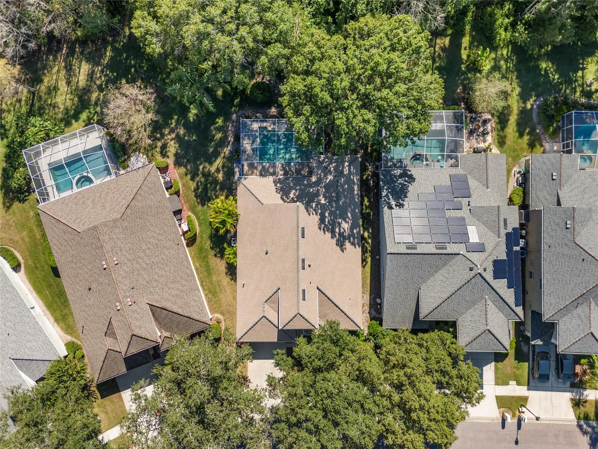5542 Avenue Du Soleil Lutz FL 33558