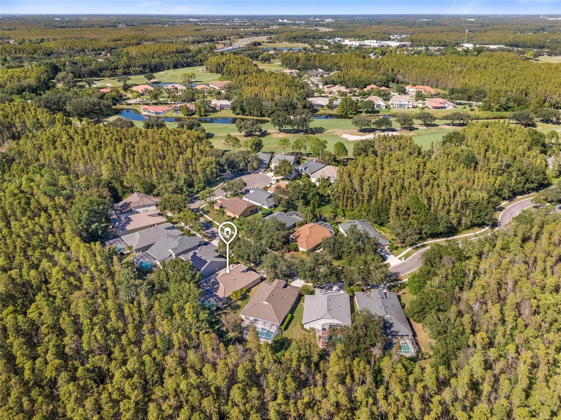 5542 Avenue Du Soleil Lutz FL 33558