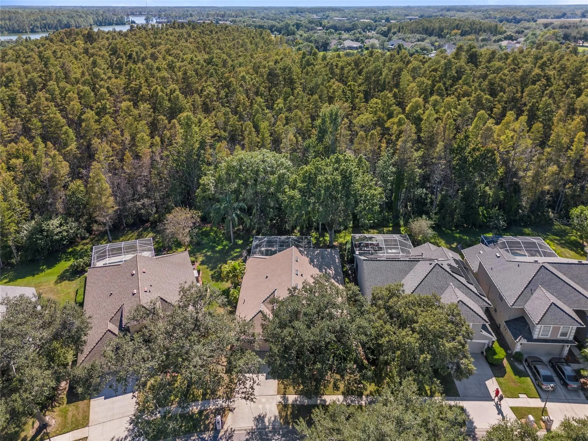5542 Avenue Du Soleil Lutz FL 33558