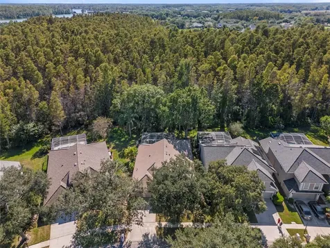5542 Avenue Du Soleil Lutz FL 33558