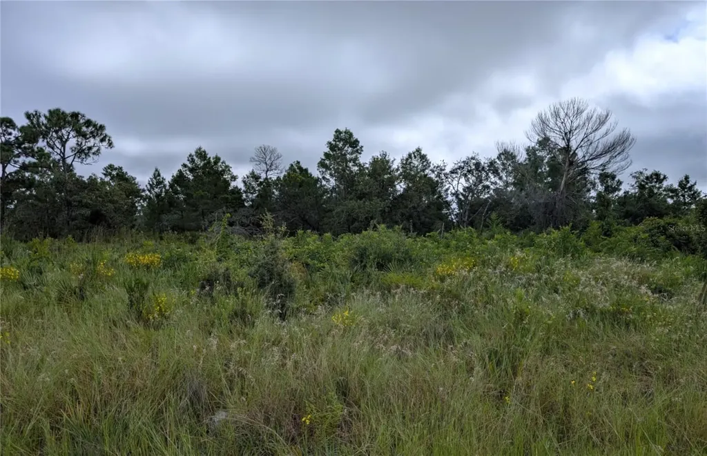 109 Falcon Court NW Lake Placid FL 33852