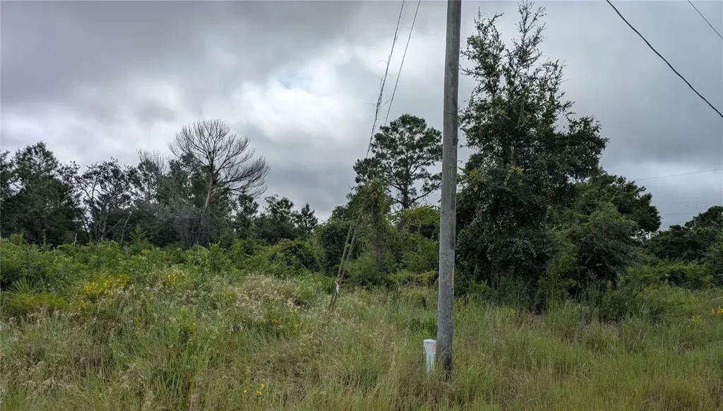 109 Falcon Court NW Lake Placid FL 33852