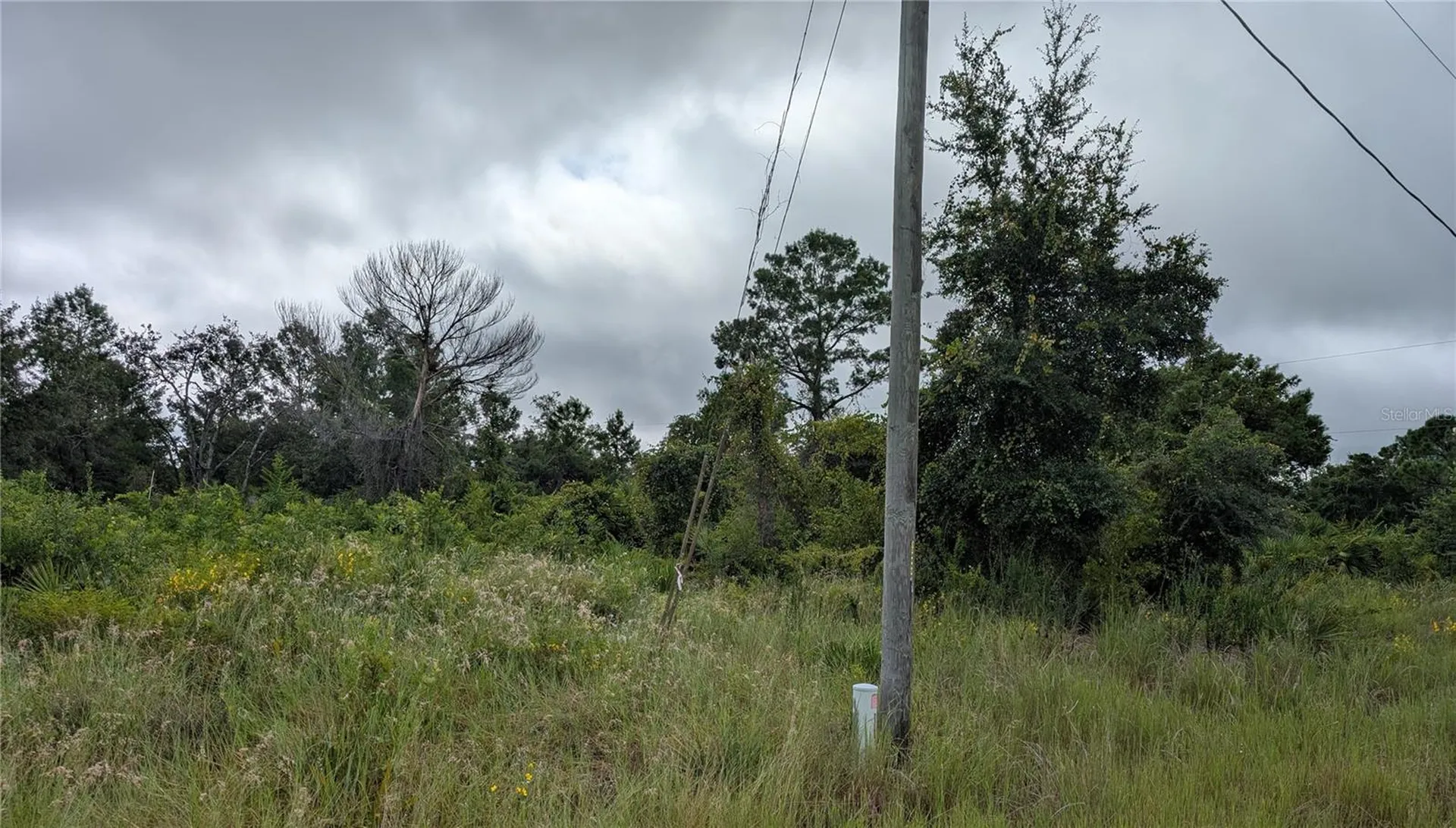 109 Falcon Court NW Lake Placid FL 33852