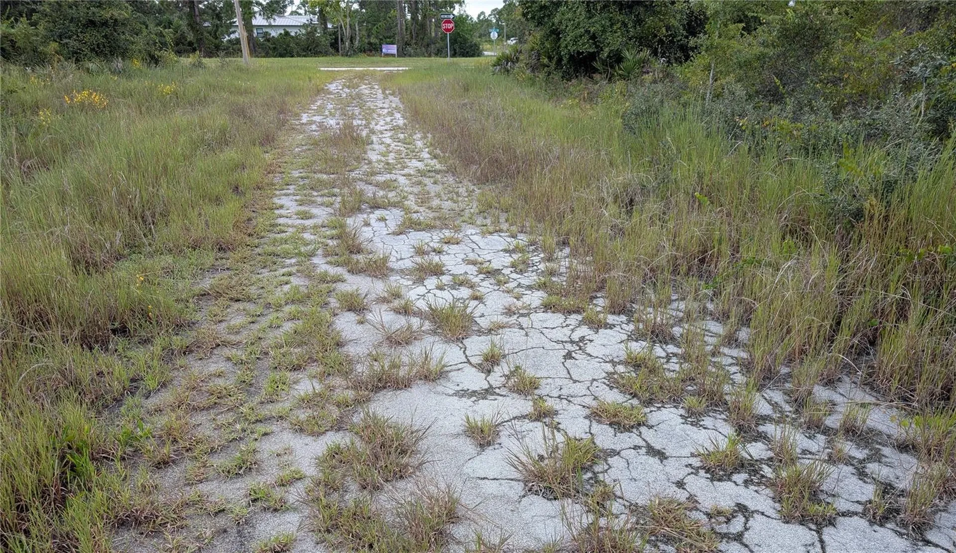 109 Falcon Court NW Lake Placid FL 33852