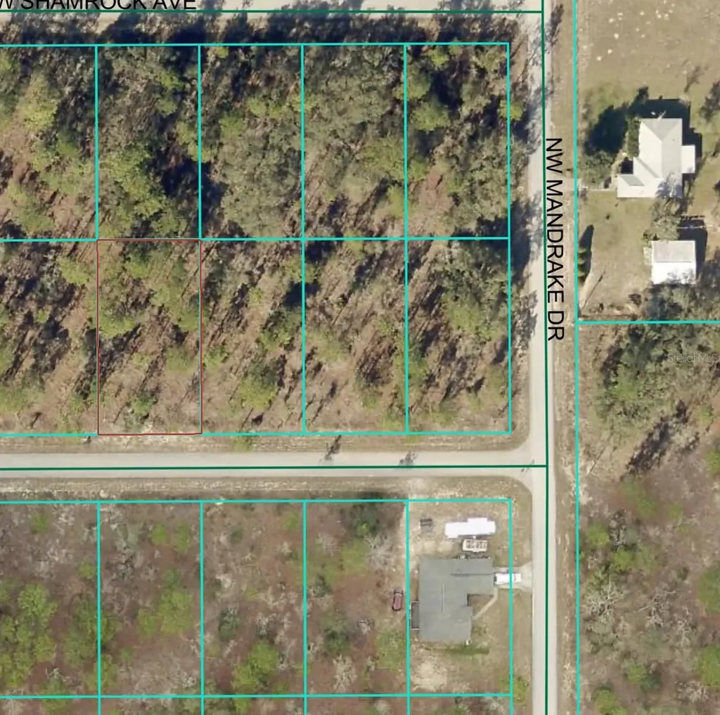 0 Luna Avenue Dunnellon FL 34431