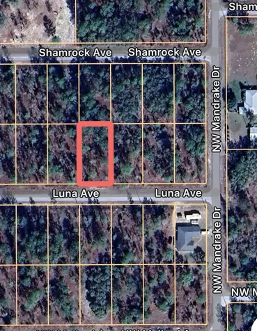 0 Luna Avenue Dunnellon FL 34431