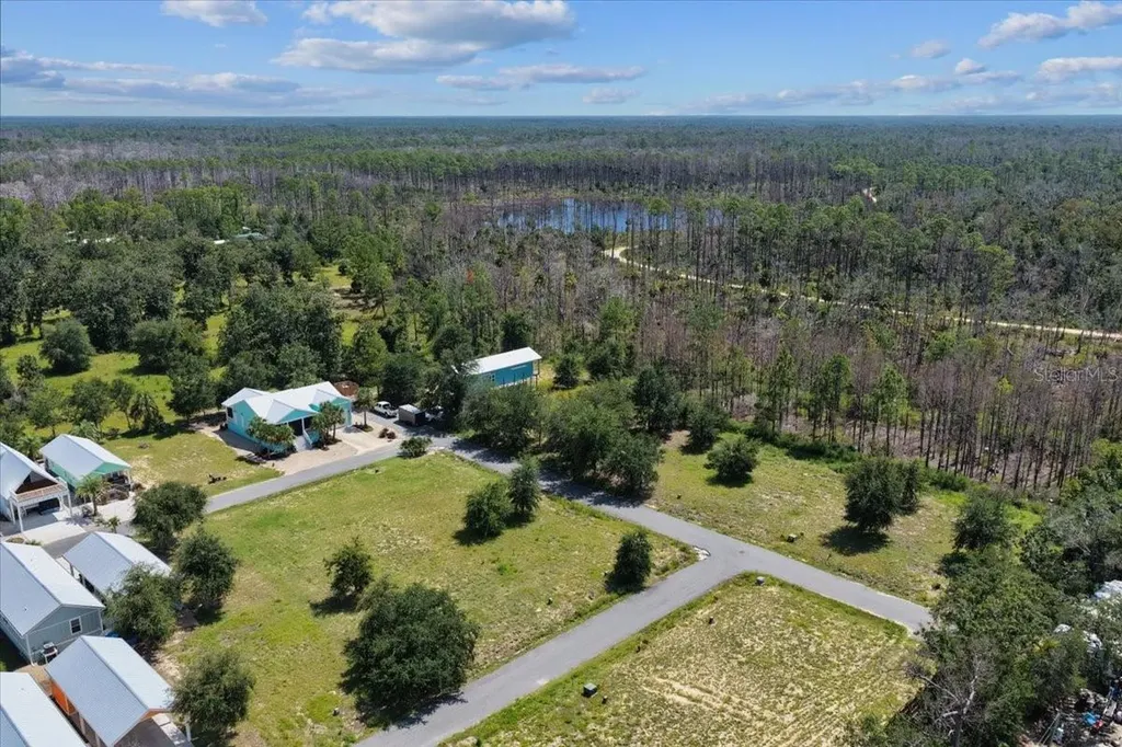 000 869th Loop Steinhatchee FL 32359