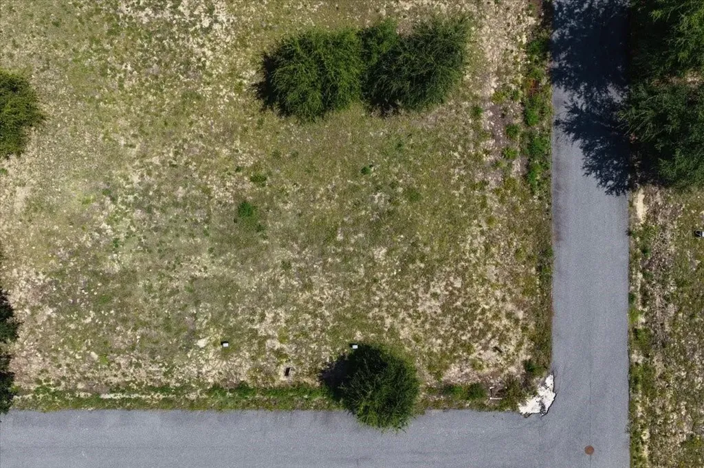 000 869th Loop Steinhatchee FL 32359