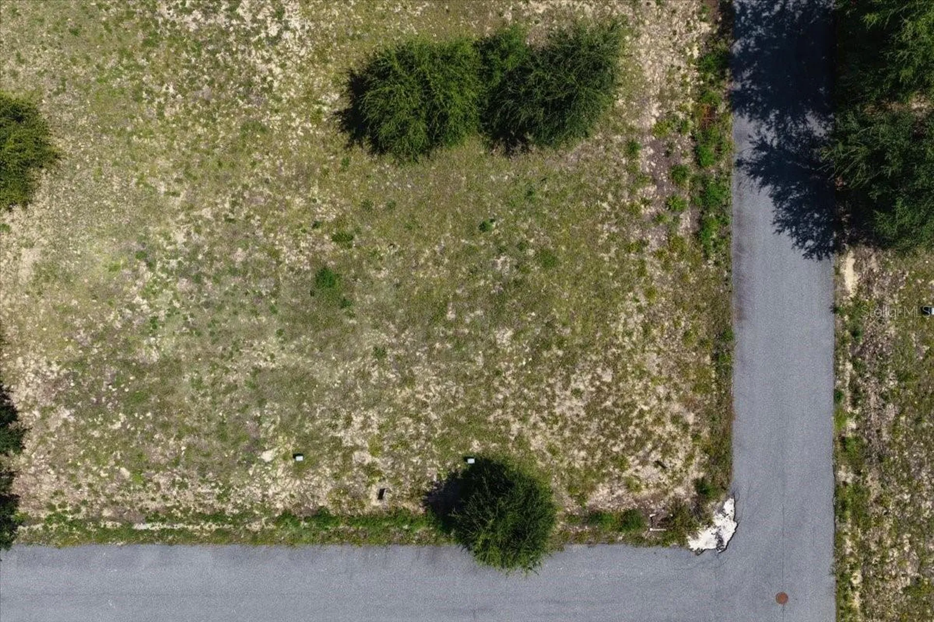 000 869th Loop Steinhatchee FL 32359