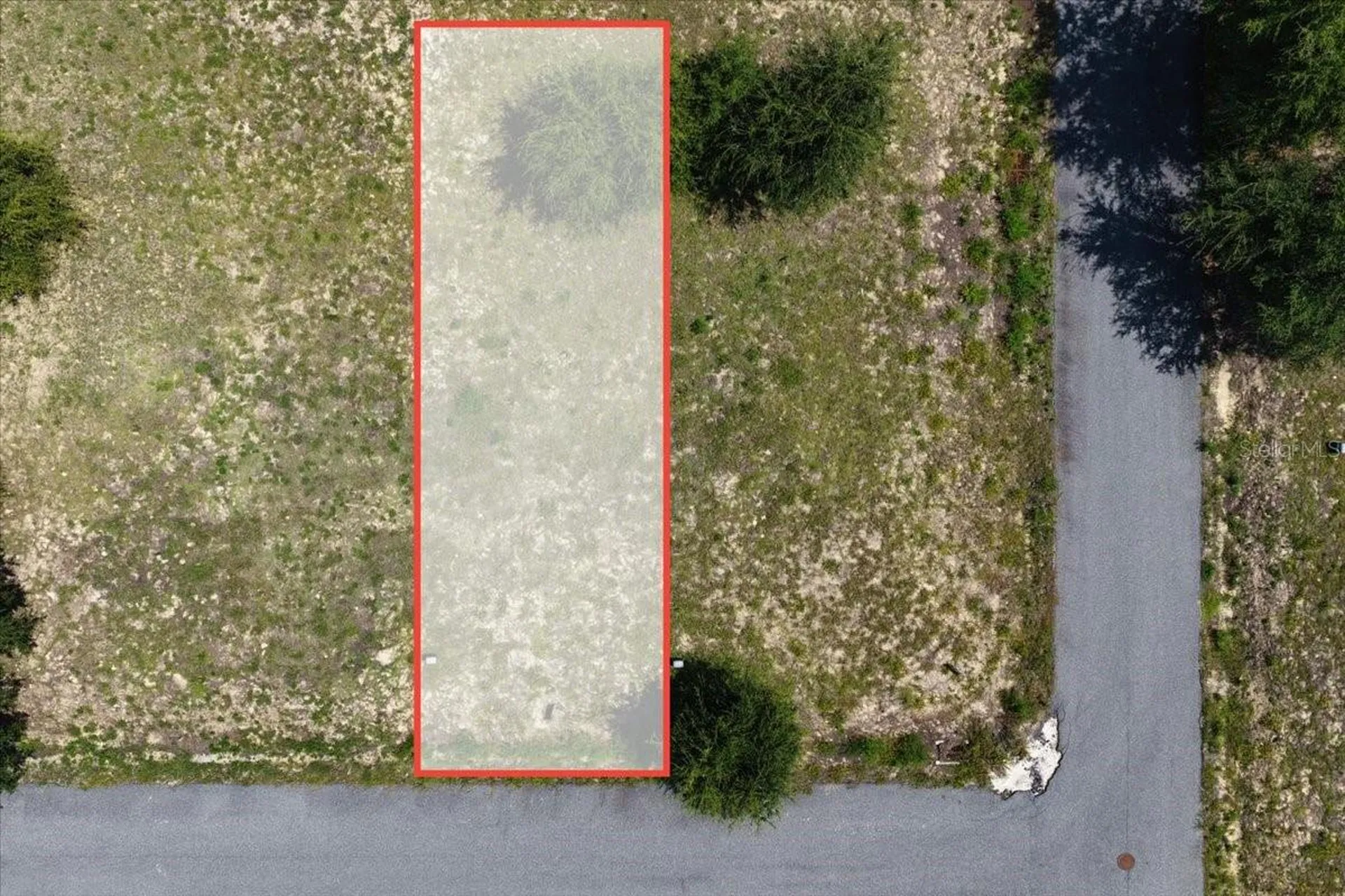 000 869th Loop Steinhatchee FL 32359