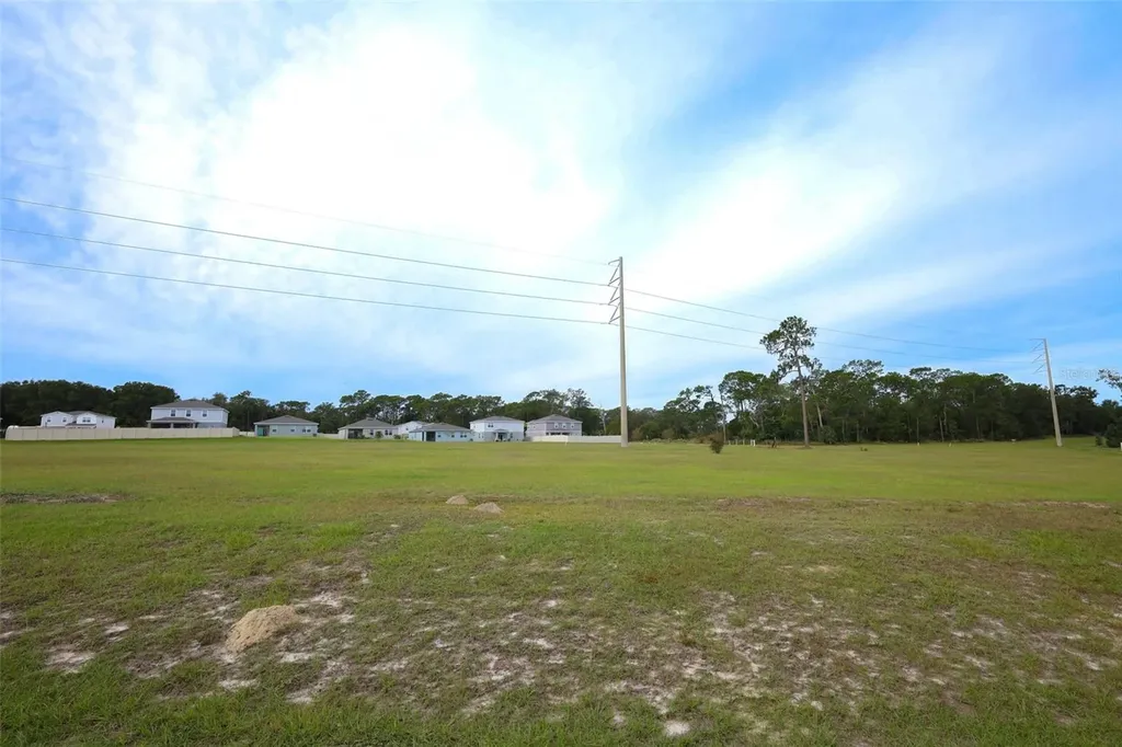 33417 Affirmed Way Sorrento FL 32776
