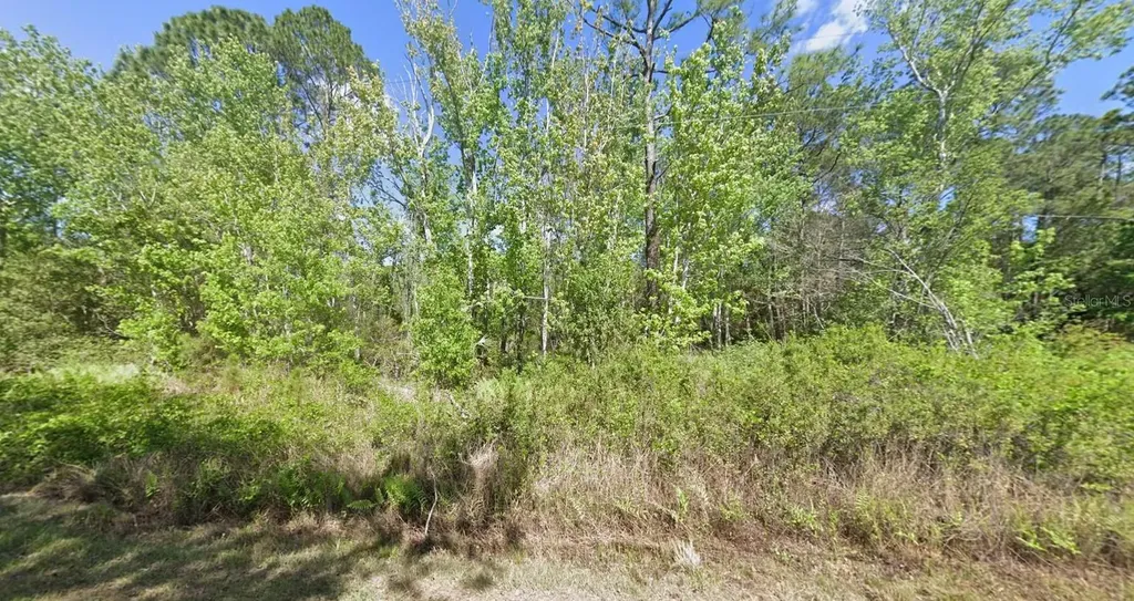 210 Redwood Boulevard Georgetown FL 32139