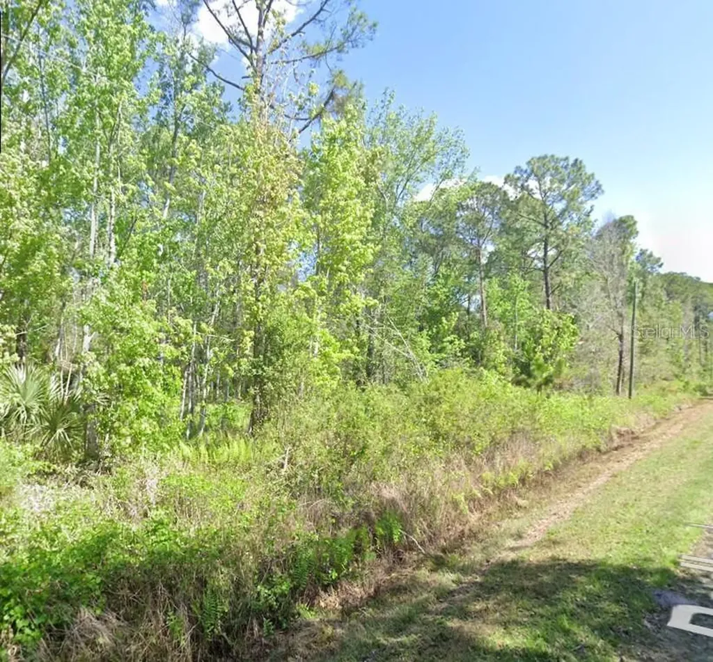 210 Redwood Boulevard Georgetown FL 32139