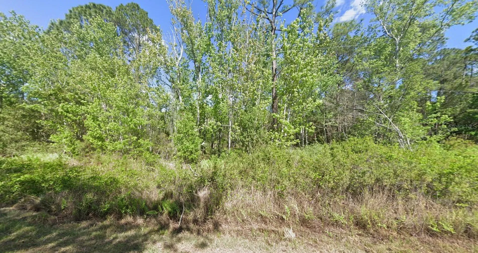 210 Redwood Boulevard Georgetown FL 32139