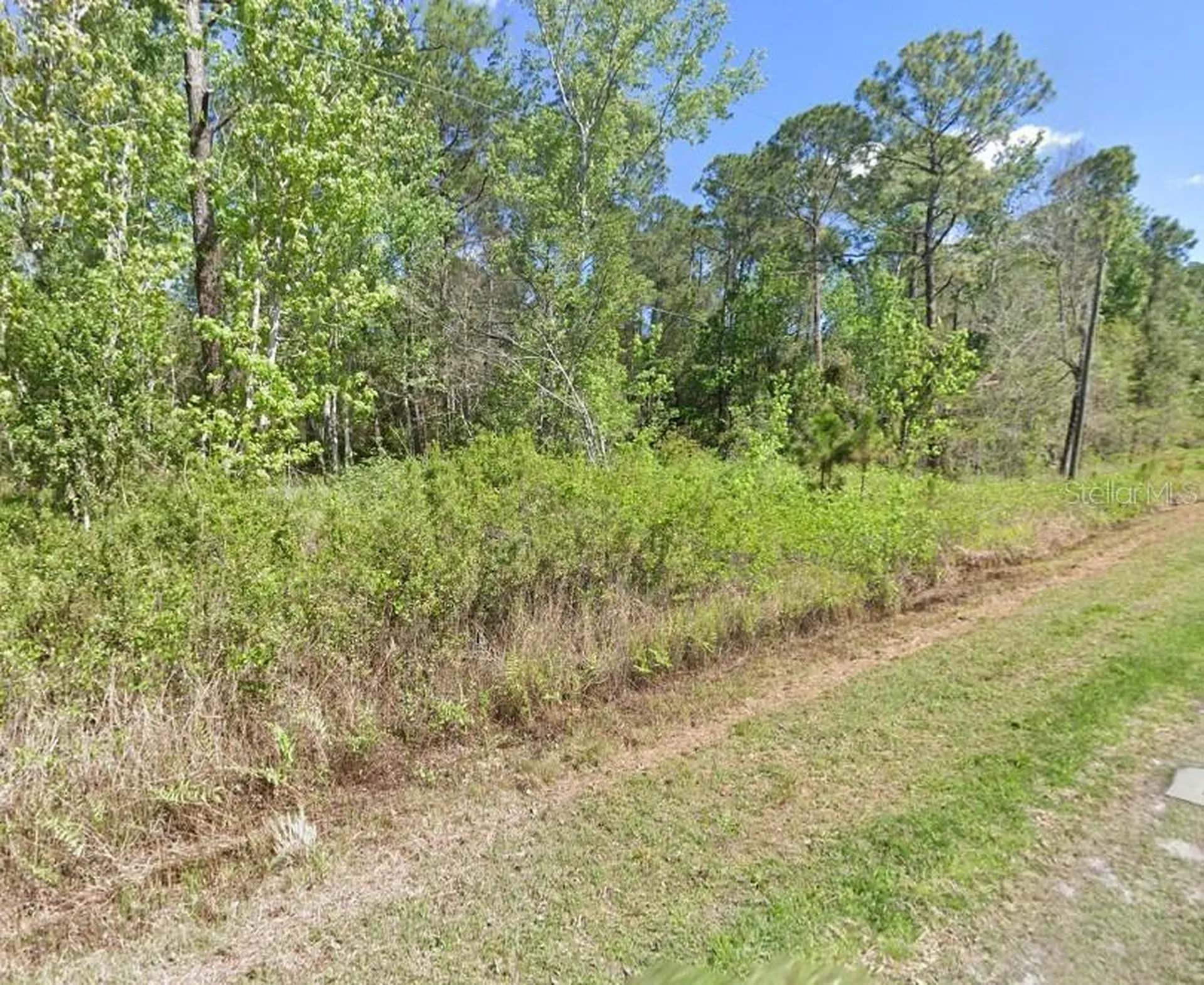 210 Redwood Boulevard Georgetown FL 32139