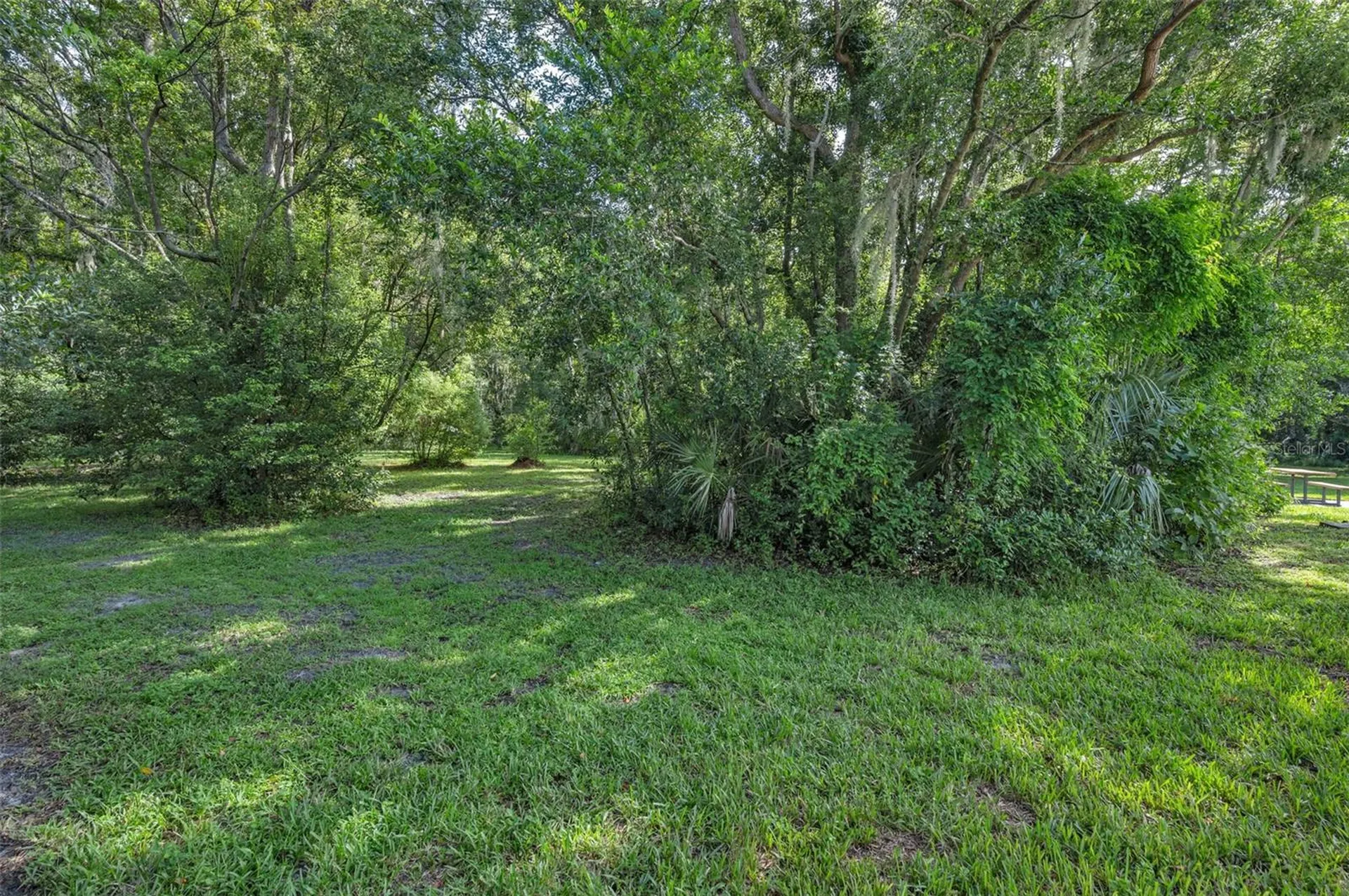 2627 Charlan Court Holiday FL 34690
