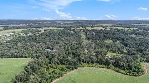 14638 Treeleaf Lane Dade City FL 33525