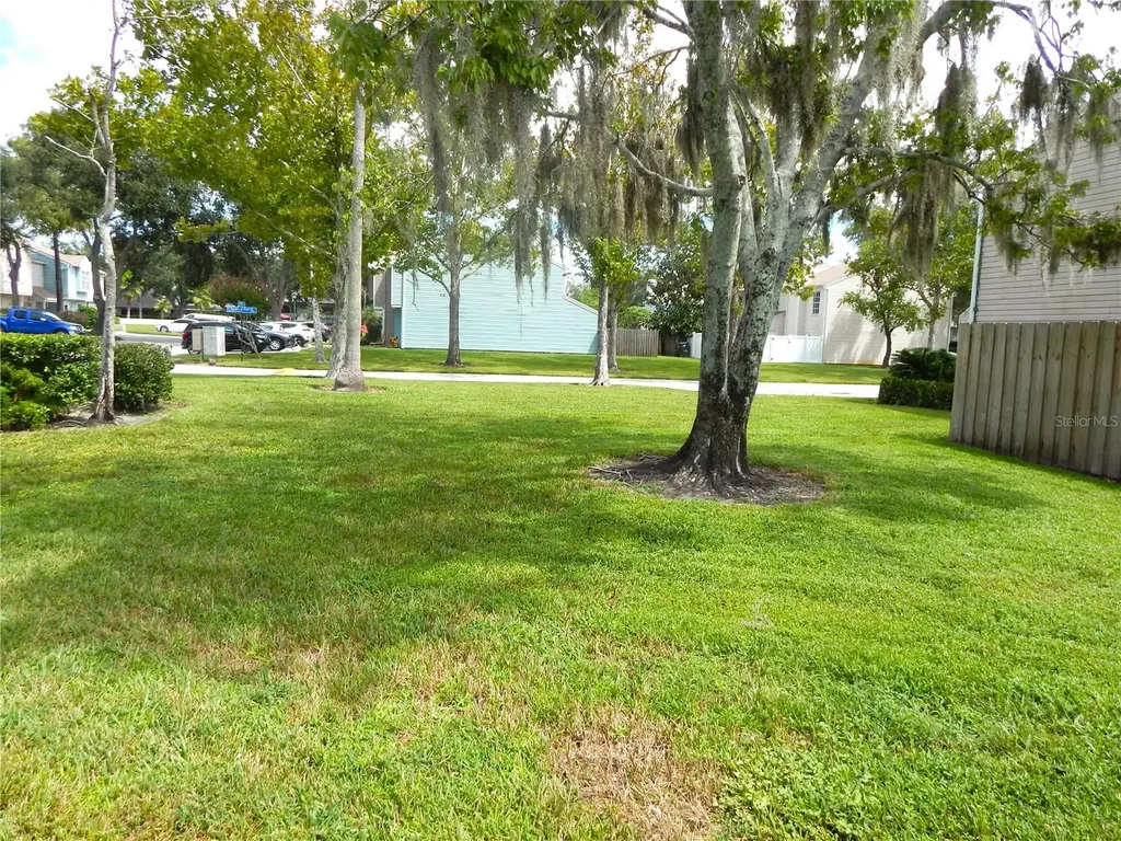16221 Rambling Vine Drive W Tampa FL 33624
