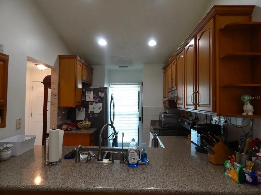 16221 Rambling Vine Drive W Tampa FL 33624