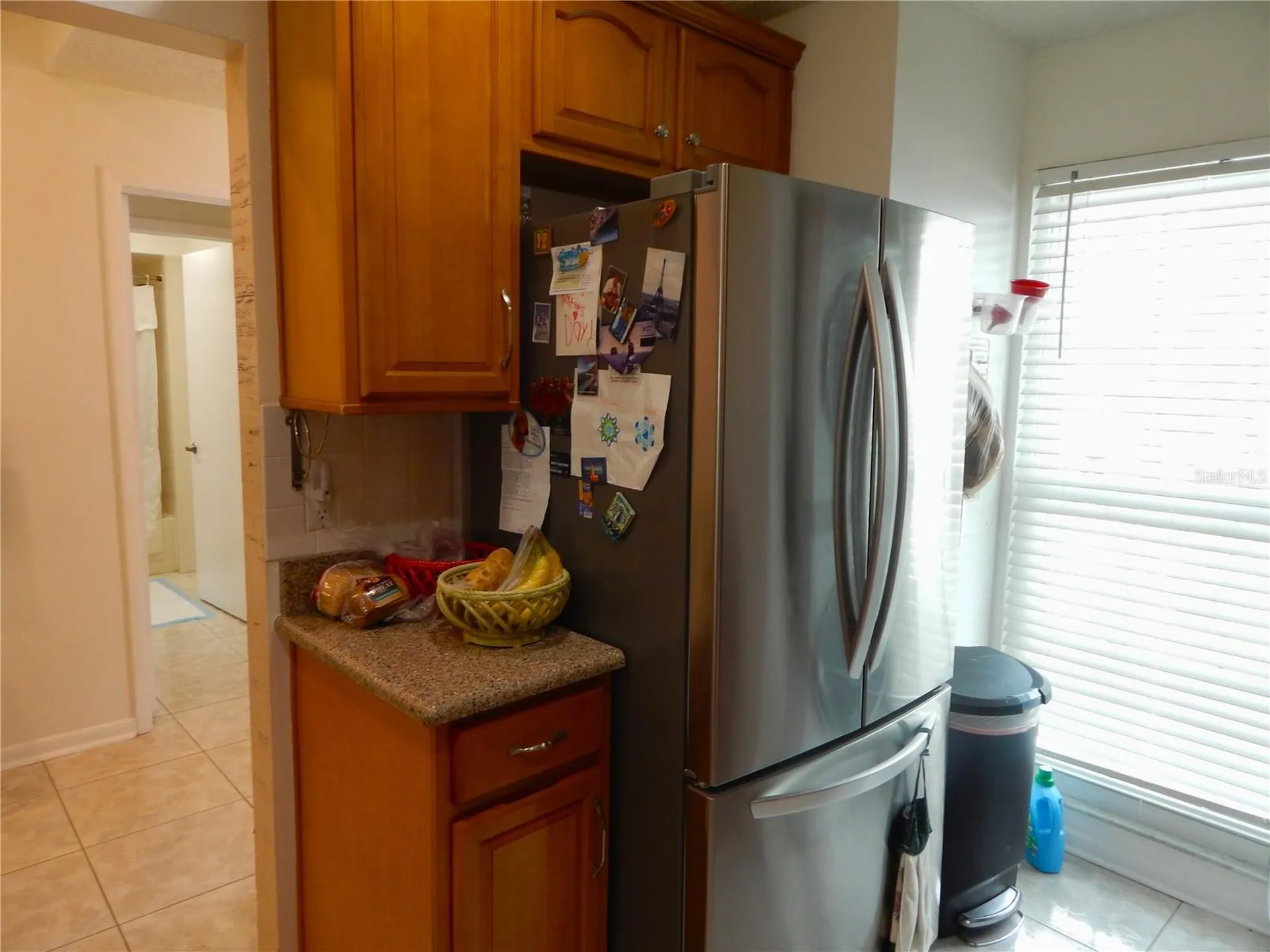 16221 Rambling Vine Drive W Tampa FL 33624