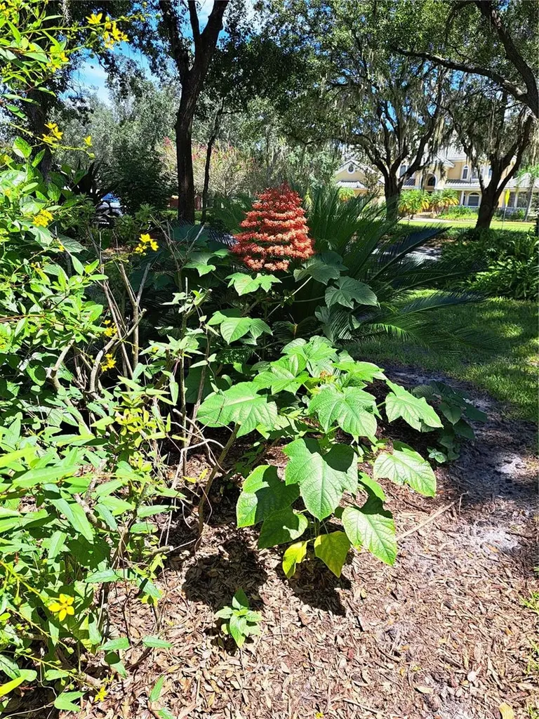5316 Lochmead Terrace Zephyrhills FL 33541