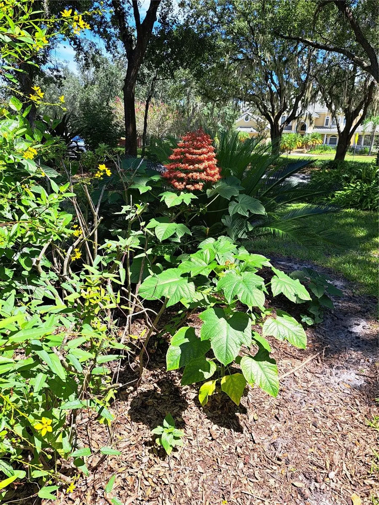 5316 Lochmead Terrace Zephyrhills FL 33541