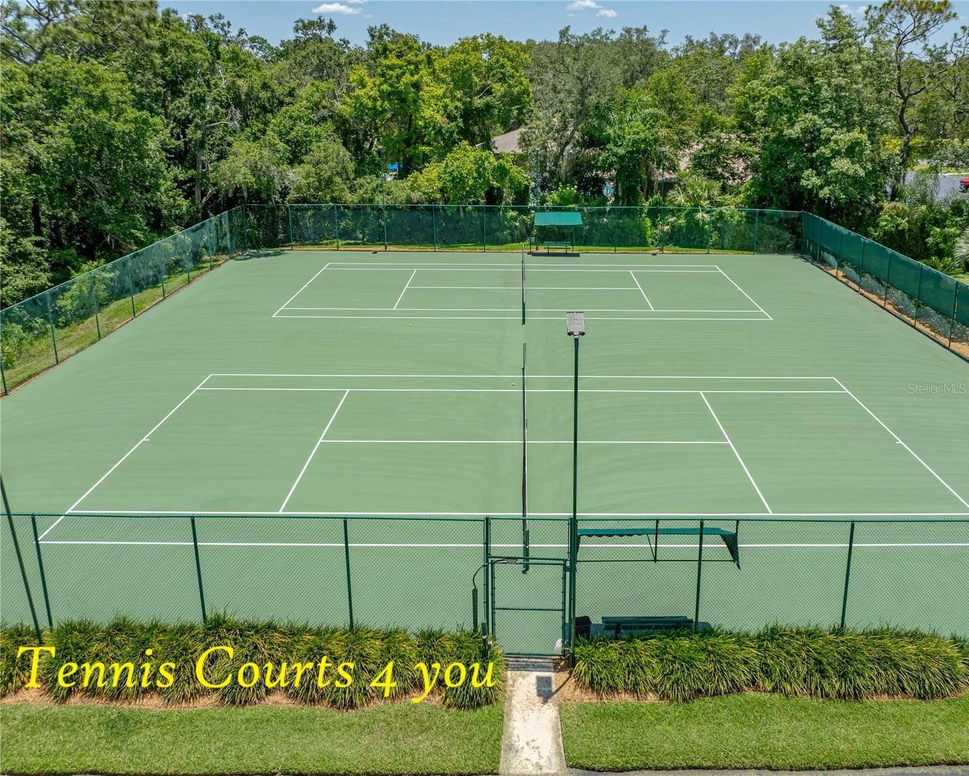 5316 Lochmead Terrace Zephyrhills FL 33541
