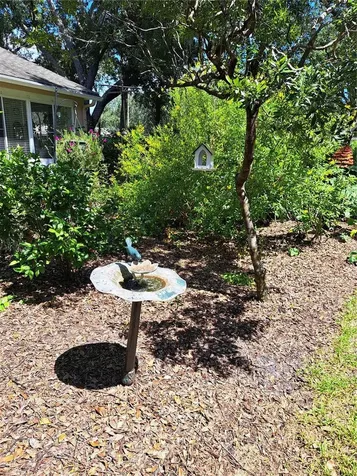5316 Lochmead Terrace Zephyrhills FL 33541