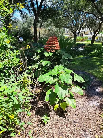 5316 Lochmead Terrace Zephyrhills FL 33541