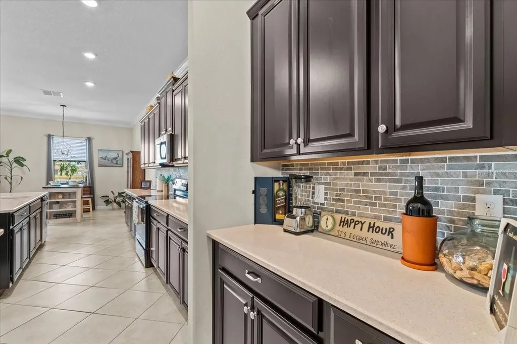 13443 White Sapphire Road Riverview FL 33579
