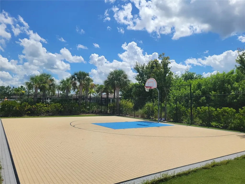 13443 White Sapphire Road Riverview FL 33579