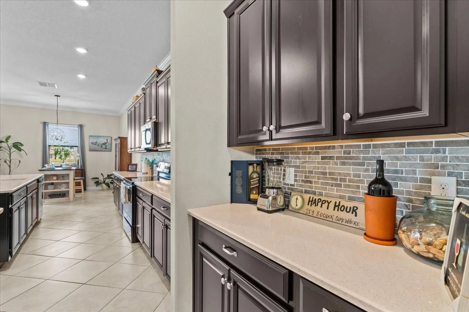 13443 White Sapphire Road Riverview FL 33579