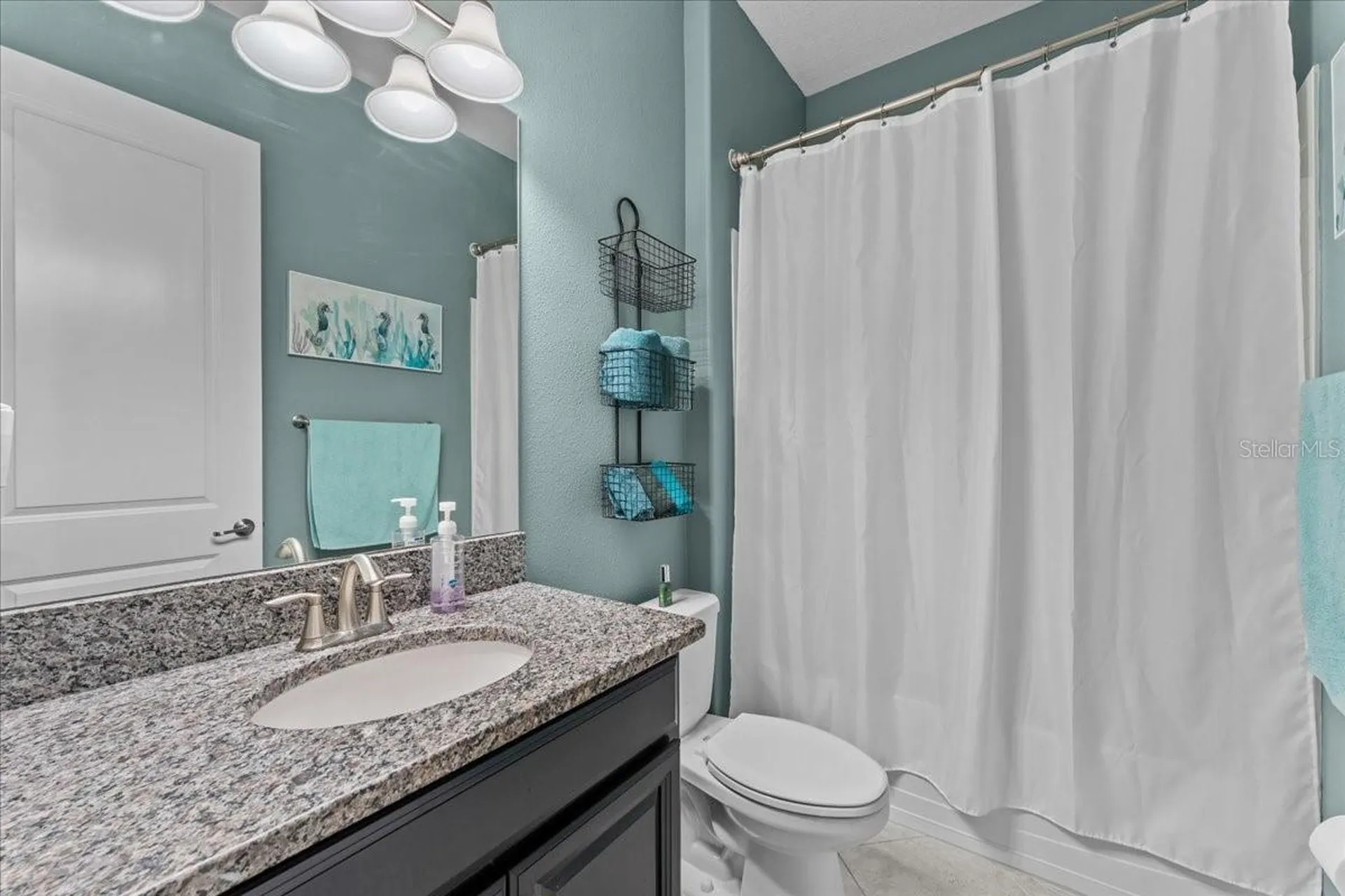 13443 White Sapphire Road Riverview FL 33579