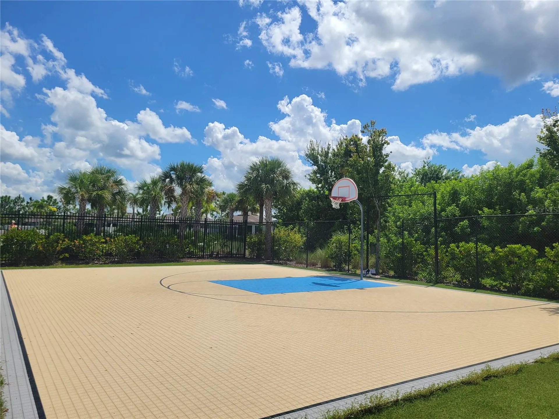 13443 White Sapphire Road Riverview FL 33579