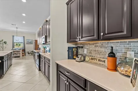 13443 White Sapphire Road Riverview FL 33579