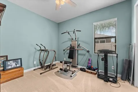 13443 White Sapphire Road Riverview FL 33579