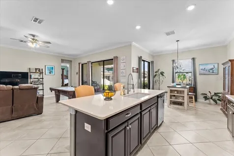 13443 White Sapphire Road Riverview FL 33579