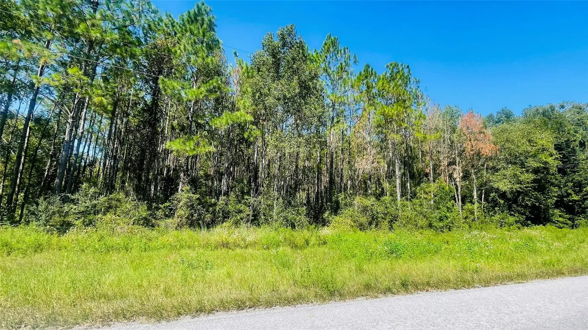T/b/d NW 50th Avenue Trenton FL 32693