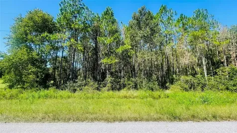 T/b/d NW 50th Avenue Trenton FL 32693