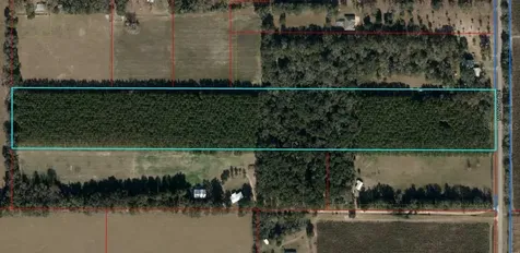 T/b/d NW 50th Avenue Trenton FL 32693
