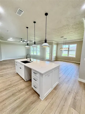 20488 NW 160th Lane High Springs FL 32643