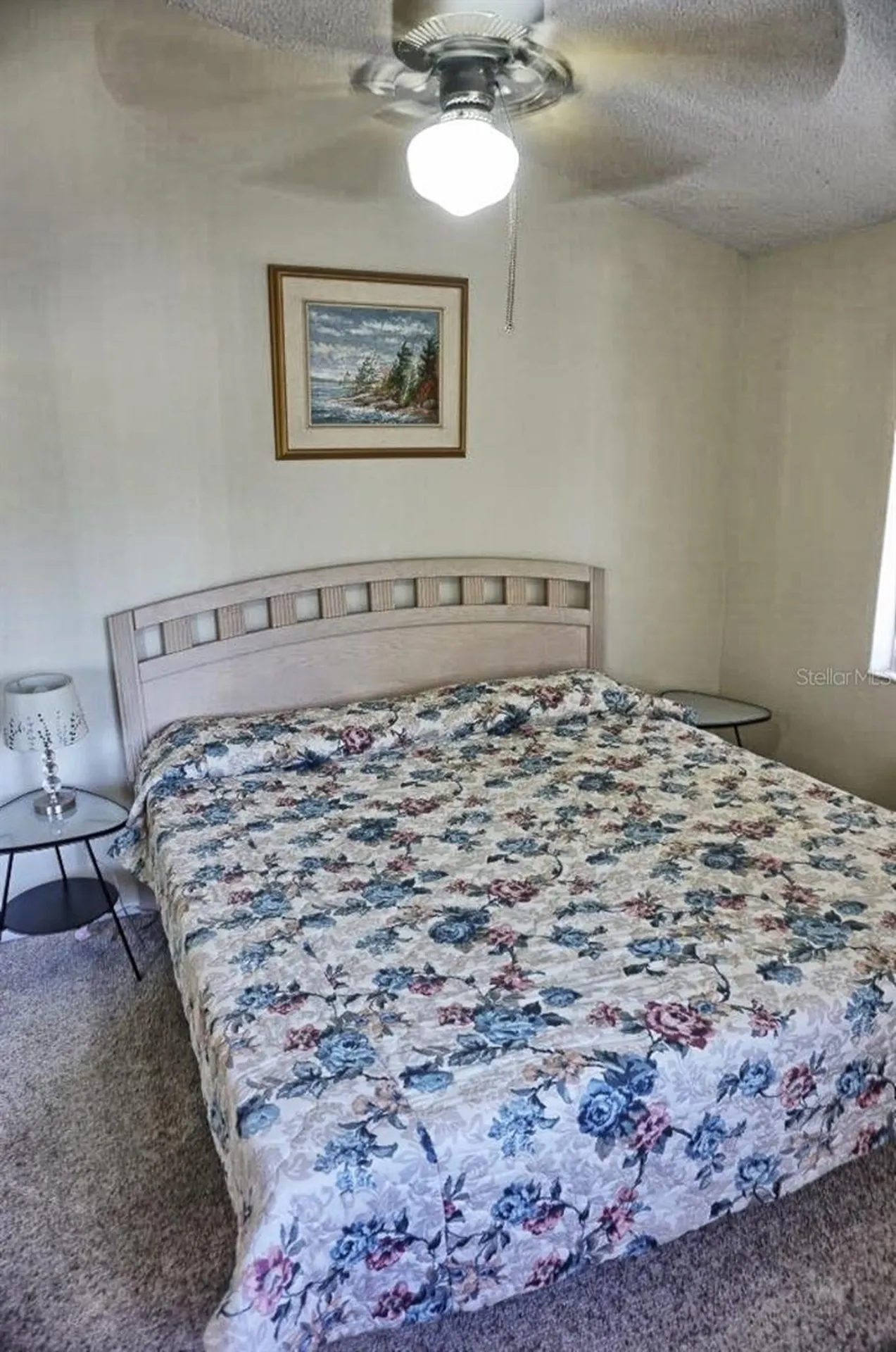 1881 Mazo Manor Lutz FL 33558