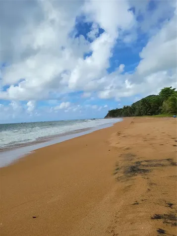 303 Coral Street Rio Grande PR 00745